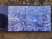 Carica l'immagine nel visualizzatore di Gallery, ASIA – Libro di Massimo Saretta